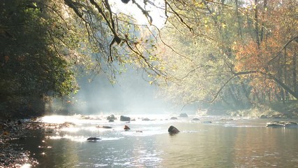Outdoors scenic at calm river during the fall season with glowing mist over water.