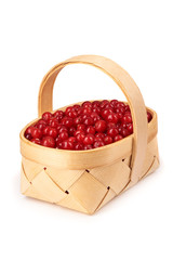 Berries of cranberries in basket, isolated on white background