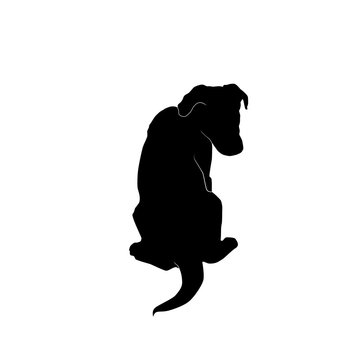 Sitting Puppy From Behind Silhouette