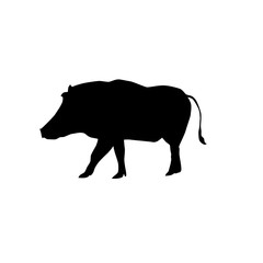 african pig vector silhouette