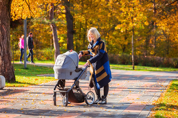 A young mother with a stroller walks through the autumn park. Walking with an infant in the open...