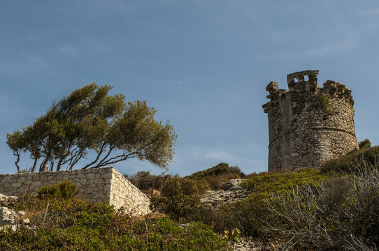 Corsica, 28/08/2017: vista della Torre di Ferringule, torre genovese del XVI secolo nel borgo di Farinole, sulla costa occidentale del Capo Corso 