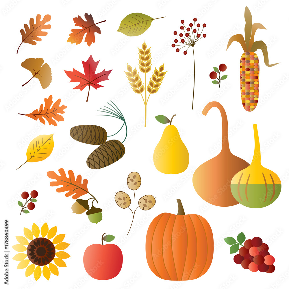 Poster autumn fruit and foliage