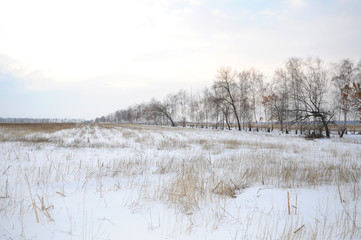 View of the snow-covered field in winter