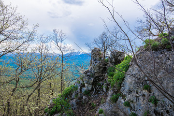 Fototapeta premium Spring mountain landscape.