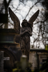 angel statue at a cemetery