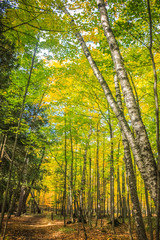 Scenic Drive in Fall near Door County Wisonsin