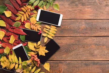 e-commerce autumn leaves wood background concept. Smartphone technology.