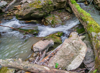 Fototapeta na wymiar Rocks and logs in the bed of a mountain stream.