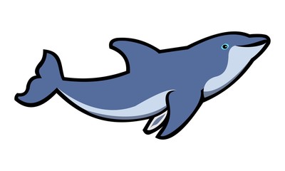 design of the dolphin