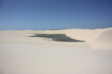 Fototapeta na wymiar Lagon, Parc national des Lençois (dunes) du Maranhao, Brésil