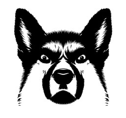 black and white linear paint draw dog illustration