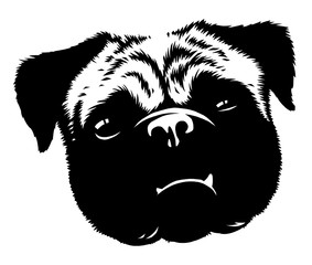 black and white linear paint draw dog illustration