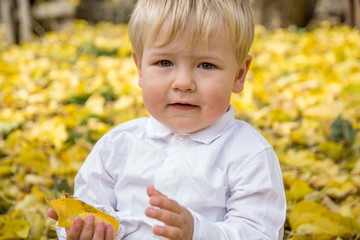 Adorable baby boy play in Autumn days