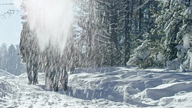 Excited little boy in warm winter clothes puling laughing young mother on sled through snowy forest while his bearded father carrying cut Christmas tree and walking along footpath on sunny winter day