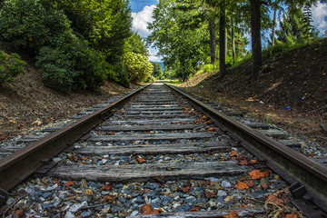 Andrews North Carolina railbed