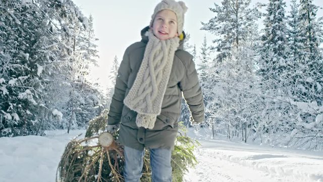 Dolly with slow motion of cheerful little boy wearing warm jacket and hat with scarf dragging cut Christmas tree along snowy footpath in white forest on nice winter day