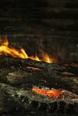 burning logs and coals in a fire close-up, vertical frame