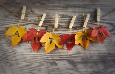 Naklejka na ściany i meble Autumn on colorful autumn leaves with wooden background.