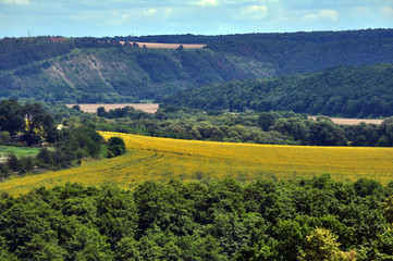 Summer panoramic landscape from the top point