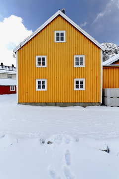 Old wooden port warehouse painted yellow-white casement windows. Nusfjord-Flakstadoya-Lofoten-Norway. 0502