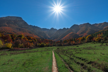 National Park of Abruzzo, Lazio and Molise (Italy) - The autumn with foliage in the italian mountain natural reserve, with little old towns, the Barrea Lake, Camosciara, Forca d'Acero, Val Fondillo