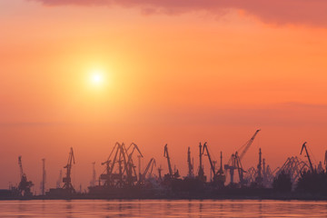 Obraz premium Big cranes silhouette in the port at sunset