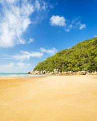 Beach In Wilsons Promontory