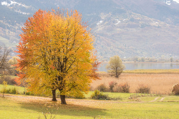 Beautiful colors of nature in Autumn