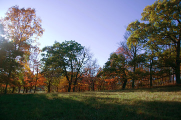 West Virginia Fall