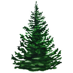 Fototapeta premium Watercolor Christmas tree