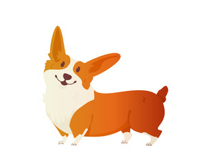 Happy dog Welsh Corgi. The style flat.