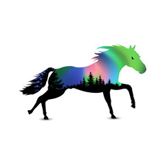 Silhouette of running horse with coniferous trees on the background of colorful sky.  Northern lights.