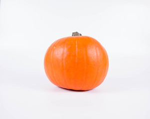 Pumpkin on a white background