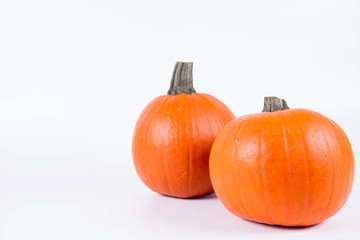 Pumpkin on a white background