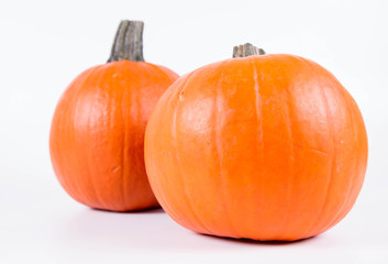 Obraz premium Pumpkin on a white background