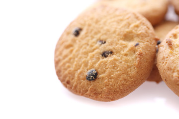 Chocolate chip cookie isolated in white background