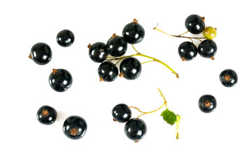 black currant isolated on white