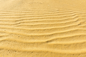 Fototapeta na wymiar Sand Ripple Texture