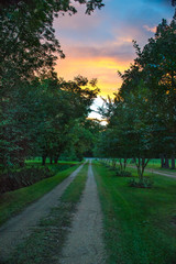 DrivewaySunset