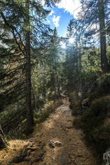 montagna percorso 215