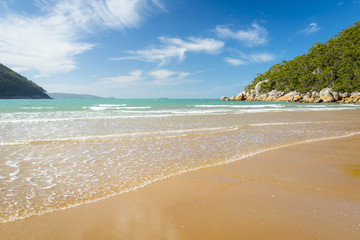 Sealers Cove Shoreline