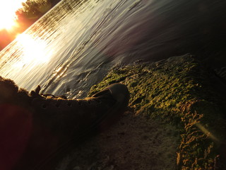 Shoes on moss near rhein