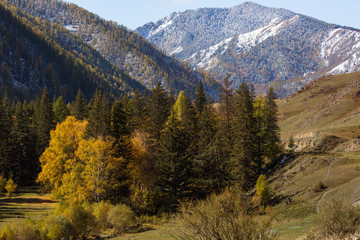Landscapes of the Altai Mountains in autumn, Russia.