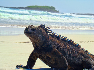 Carlos Photos Images Assets Adobe Stock