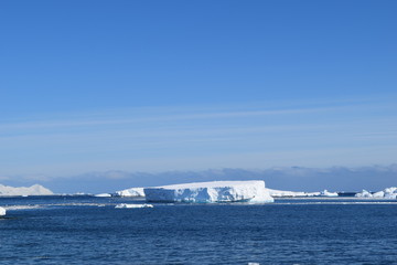 antartica