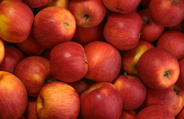 Fototapeta na wymiar Red apples background