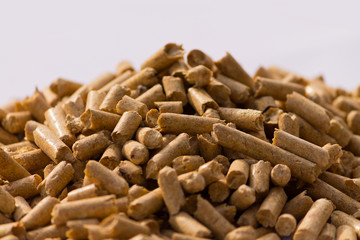 pellet3