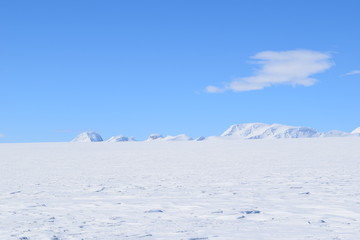 antartica