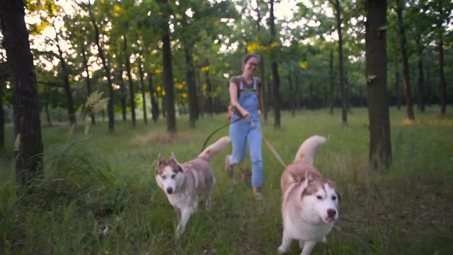 young female with two cute siberian husky dogs walking in park